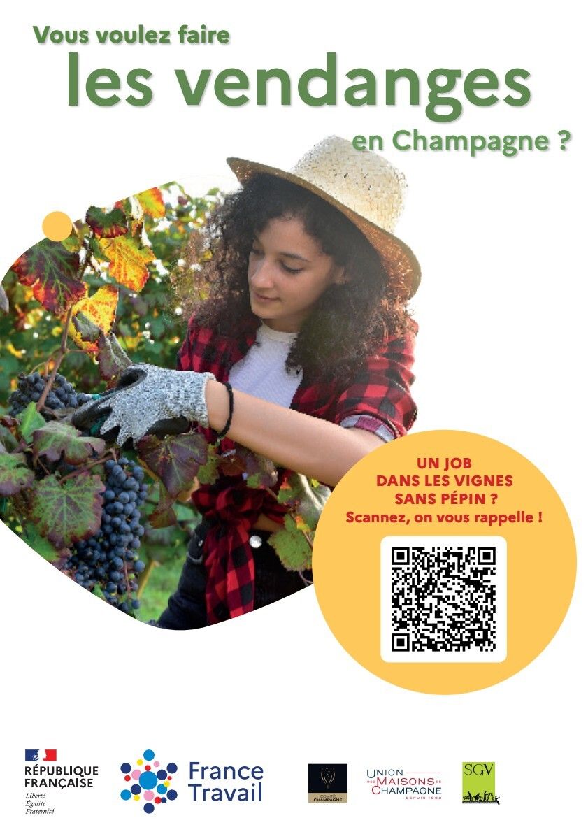 Les vendanges en Champagne